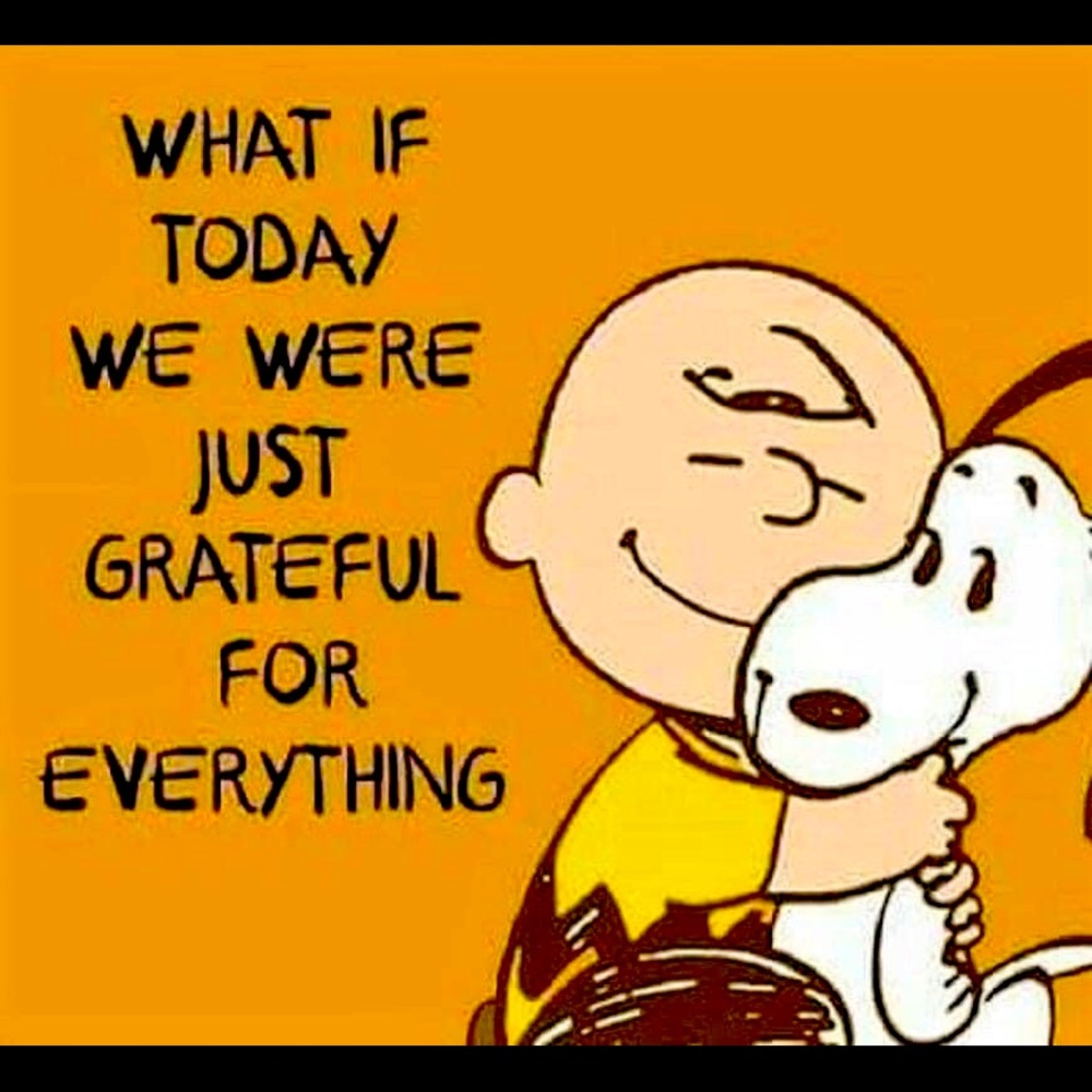 Meet your Posher, Patricia - Picture 2 of 2